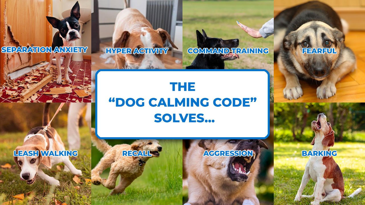 The Dog Calming Code solves: separation anxiety, hyperactivity, command training, fearfulness, leash walking, recall, aggression, and barking